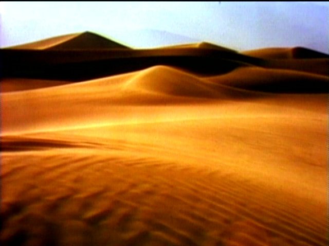 dvd_000105.jpg