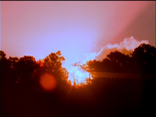 dvd_00013.jpg