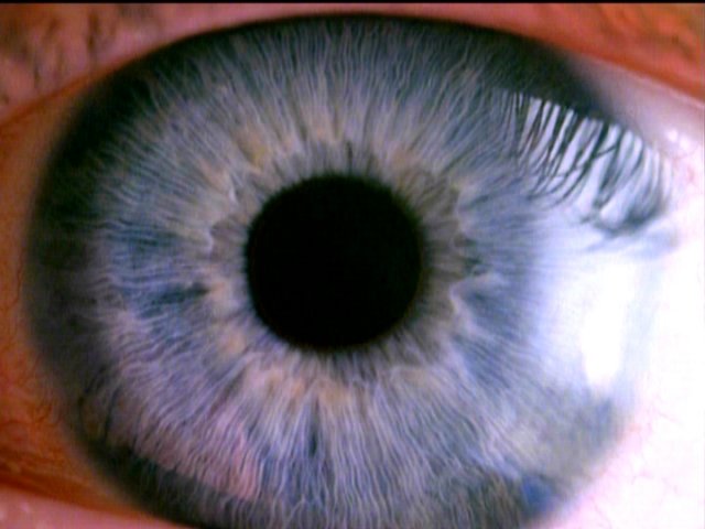 dvd_000100.jpg