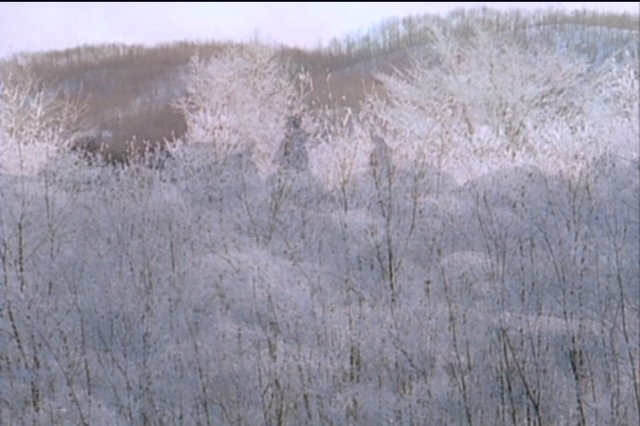 pdvd_053.jpg
