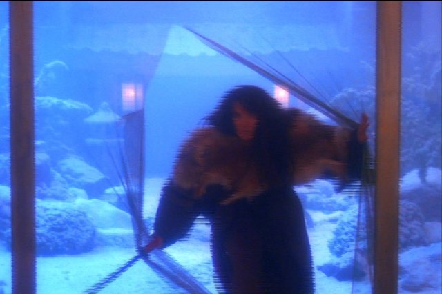 pdvd_146.jpg
