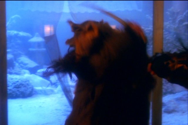 pdvd_167.jpg