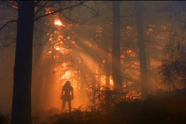 pdvd_010.jpg