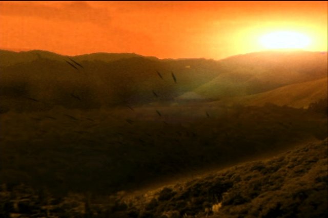 pdvd_060.jpg