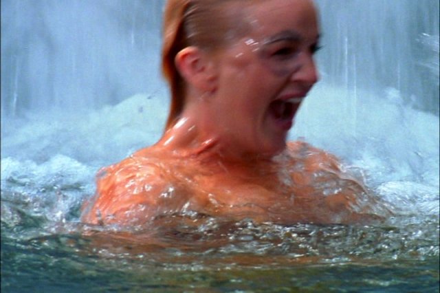 pdvd_092.jpg