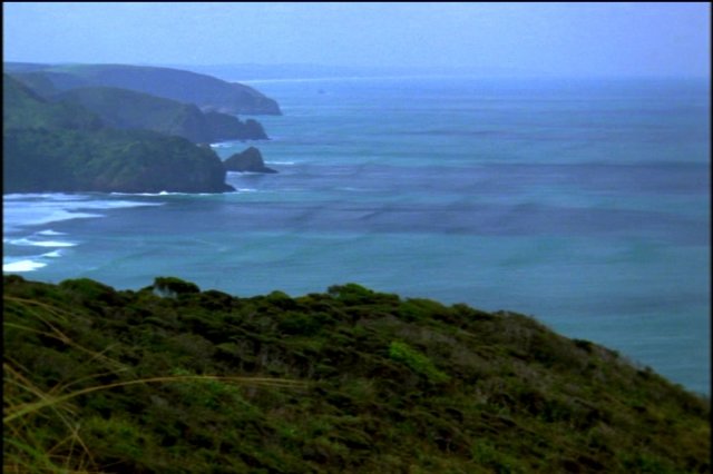 pdvd_002.jpg