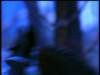 dvd_000100_small.jpg