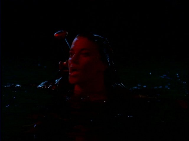 dvd_00053.jpg